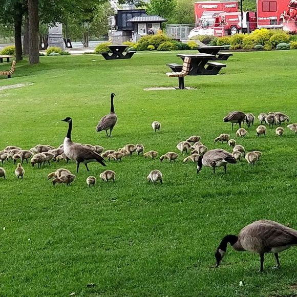 Meet your Posher, Komal - Picture 1 of 1